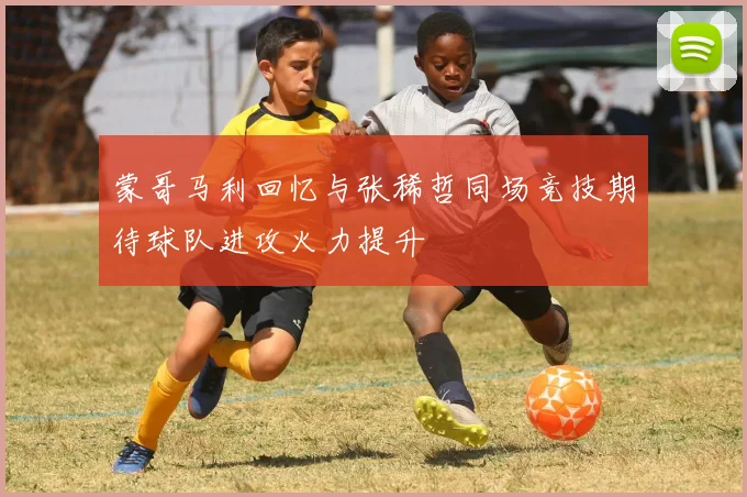 蒙哥马利回忆与张稀哲同场竞技期待球队进攻火力提升